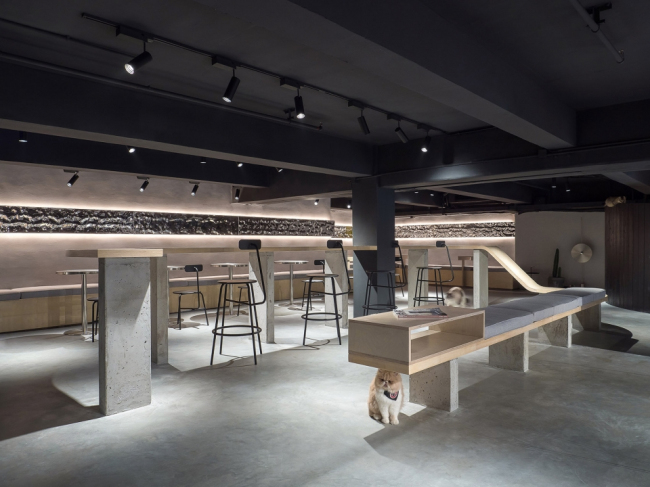 宠物店装修,宠物店装潢设计,宠物店装修效果图,装修公司
