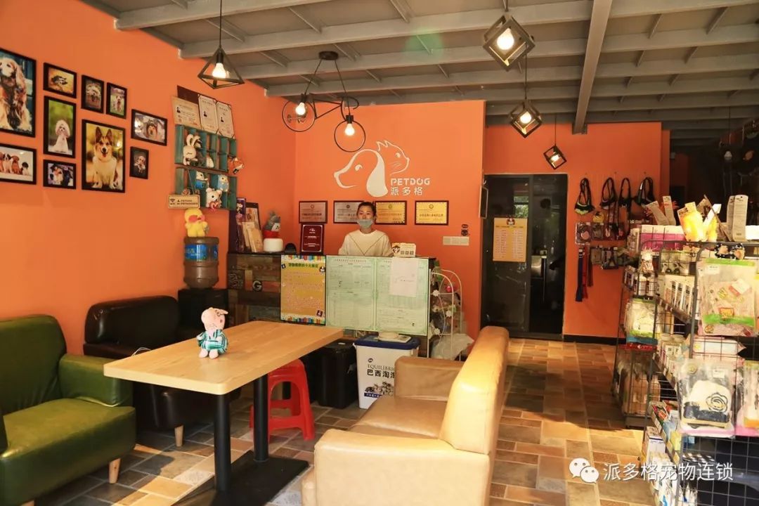 杭州开宠物店需要准备什么呢?(开宠物店如何用2万元装出5万元的效果) 杭州开宠物店需要准备什么呢?(开宠物店如何用2万元装出5万元的效果)