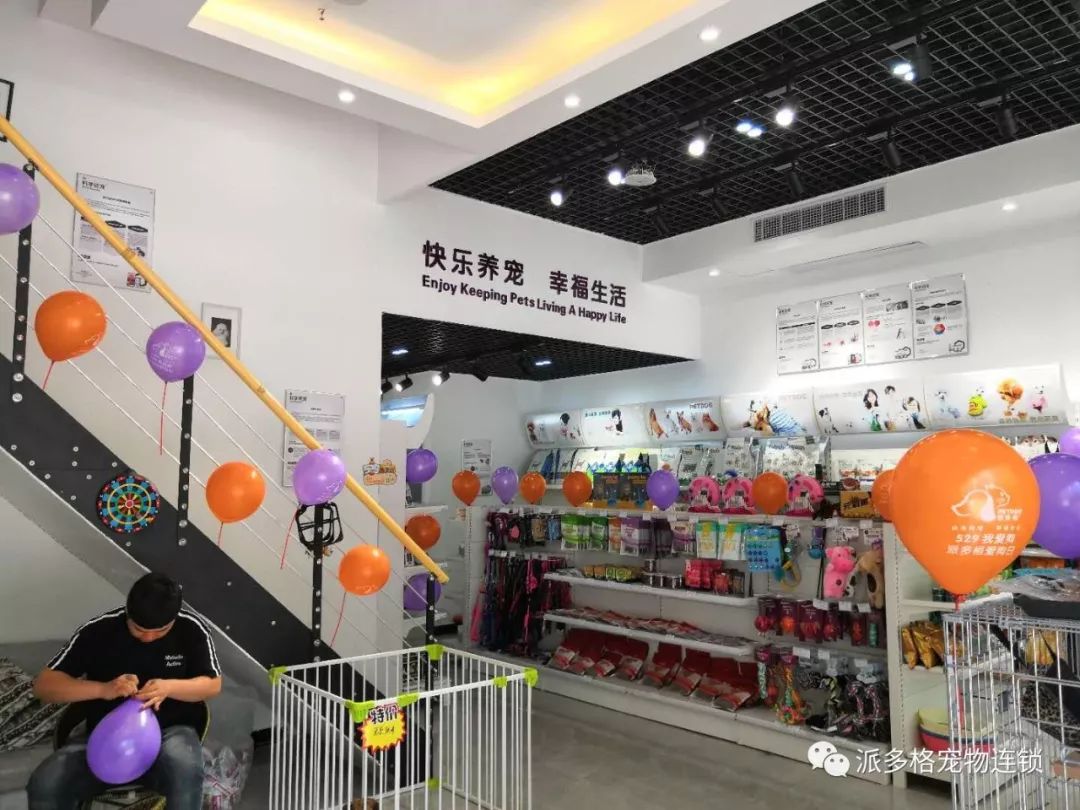 杭州开宠物店需要准备什么呢?(开宠物店如何用2万元装出5万元的效果) 杭州开宠物店需要准备什么呢?(开宠物店如何用2万元装出5万元的效果)